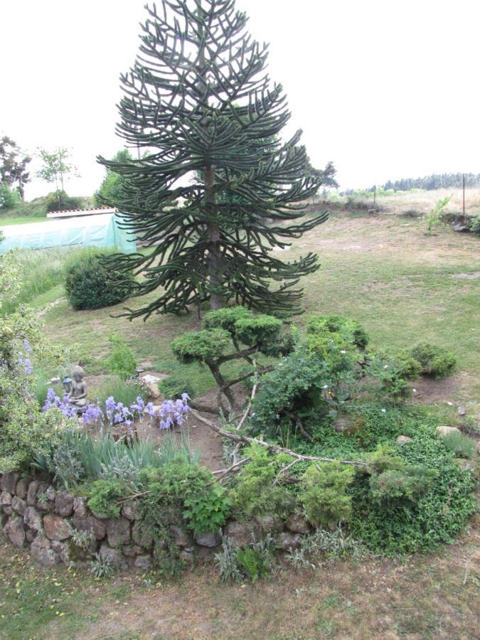 Chez Sophie Et Gilles Bed & Breakfast Monistrol-sur-Loire Exterior photo